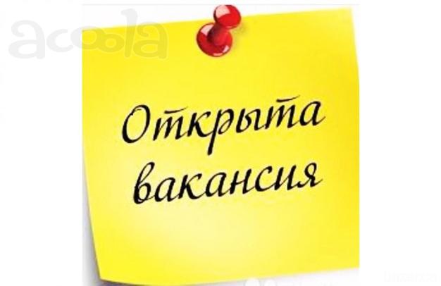 Удалённая работа (подработка)
