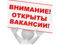 Информационный менеджер интернет проекта